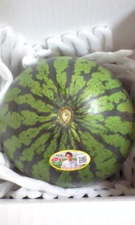 XCJI