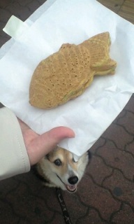 ~N̂ĂI